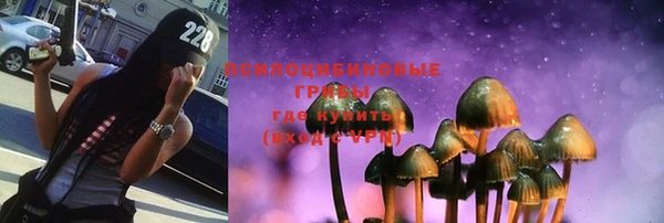 прущий лед Ельня