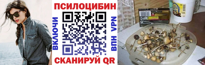 Купить закладки  Завитинск  Псилоцибиновые грибы Psilocybine cubensis 